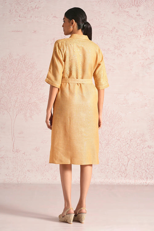 Shimmer Strings Cashew Kyra Dress