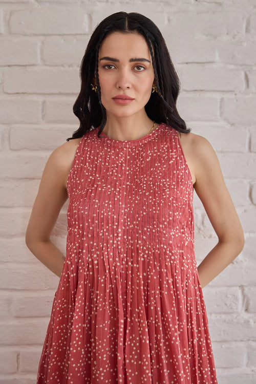 Berry Buds Dress