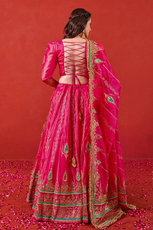 Nayaab Lehenga Set