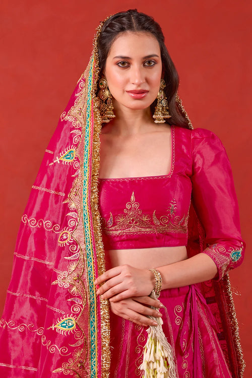 Nayaab Lehenga Set