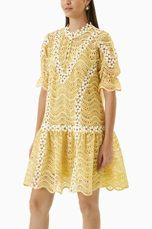 Terra Scalloped Green Dress