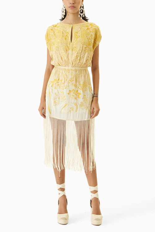 Ombre Fringe Mini