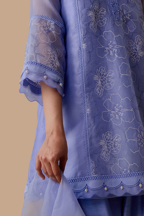 Farida Blue Kurta Set
