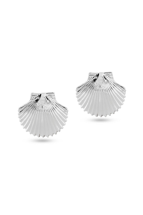 Silver Tops Shell Earring