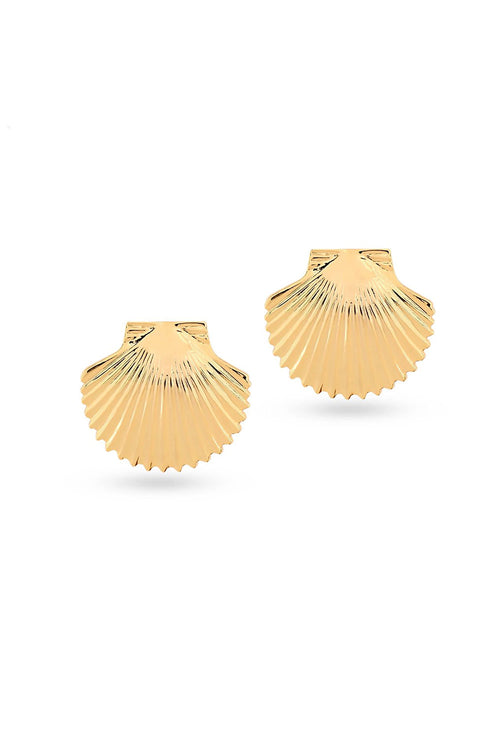 Gold Tops Shell Earring