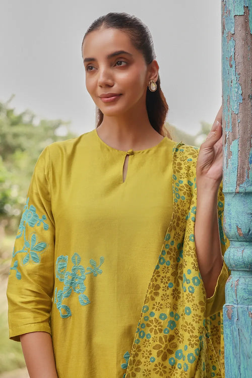 Ochre Applique Sky Printed Kurta Set