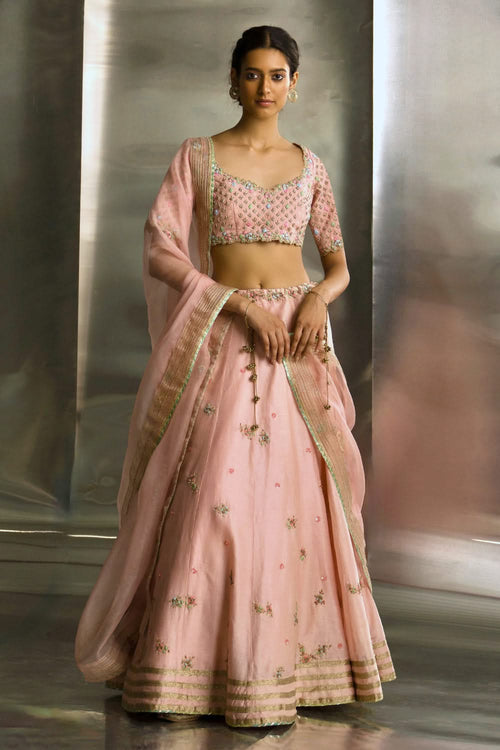 Light Pink Embroidered Lehenga