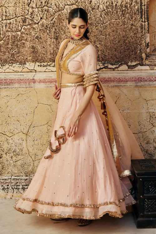 Vintage Blush Double Border Golden Zari Mukesh Lehenga