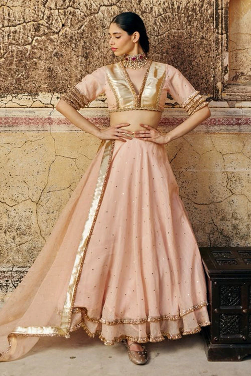 Vintage Blush Double Border Golden Zari Mukesh Lehenga