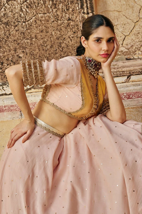 Vintage Blush Double Border Golden Zari Mukesh Lehenga