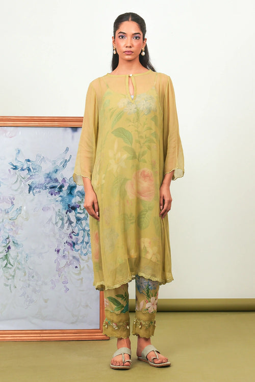 Zinnia Chiffon Phiran Set