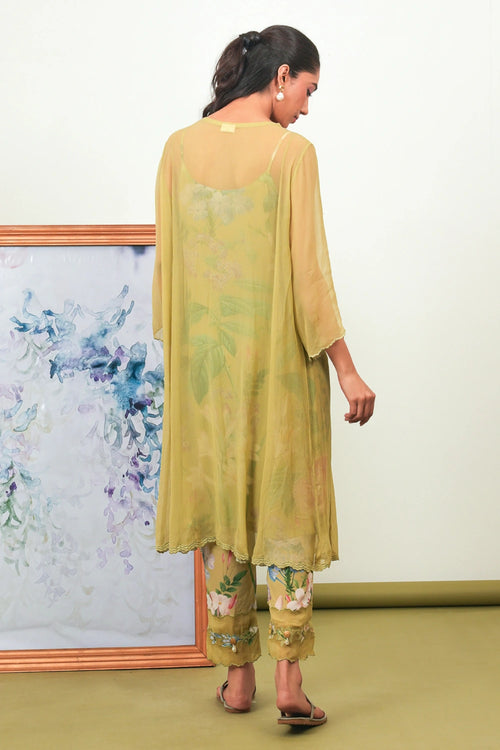 Zinnia Chiffon Phiran Set