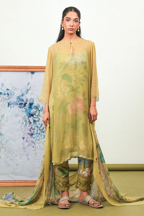 Zinnia Chiffon Phiran Set
