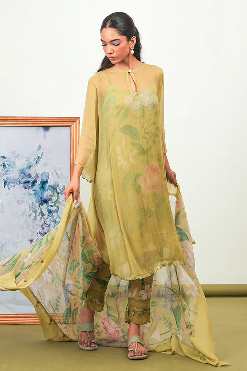 Zinnia Chiffon Phiran Set