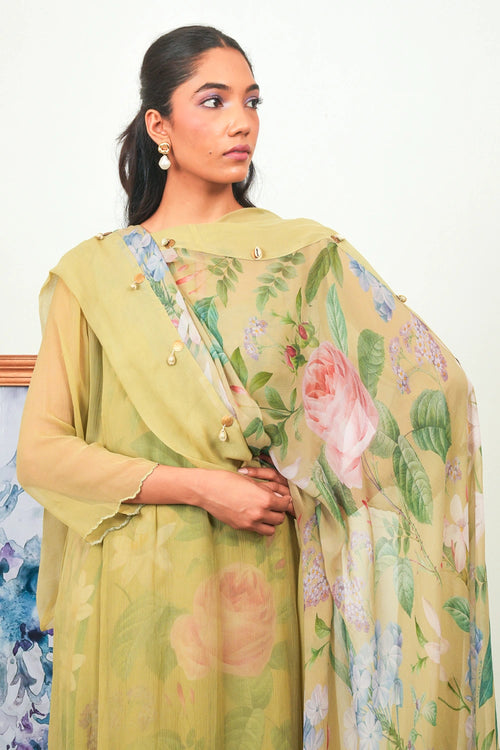 Zinnia Chiffon Phiran Set