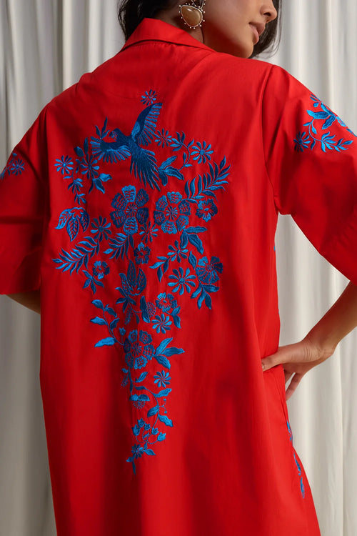 Placement Embroidered Shirt Dress