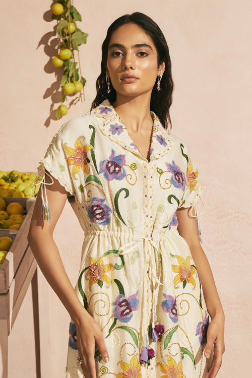 Ivory Iris Shirt Dress