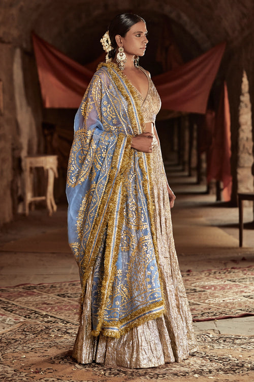 Silver and Sky Blue Falak Chaandi Sharara Set
