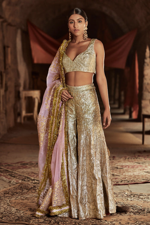 Gold and Light Pink Aariz Sharara Set