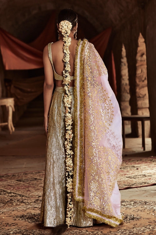 Gold and Light Pink Aariz Sharara Set