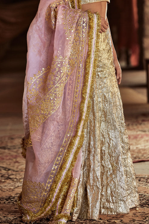 Gold and Light Pink Aariz Sharara Set