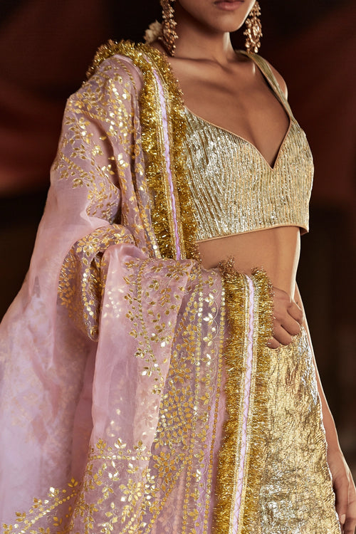 Gold and Light Pink Aariz Sharara Set