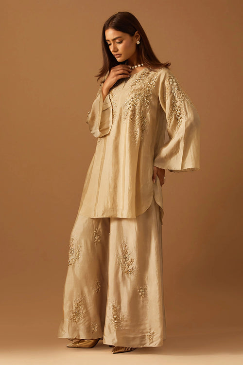 Floral Embroidered Shell Silk Sharara Set