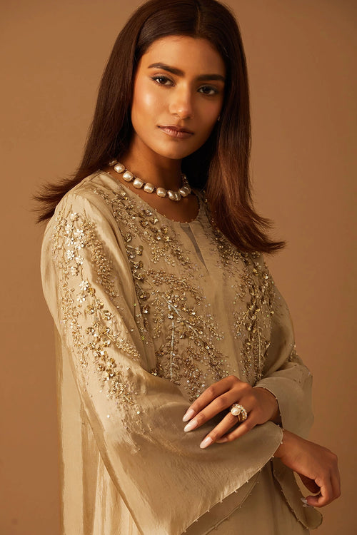 Floral Embroidered Shell Silk Sharara Set