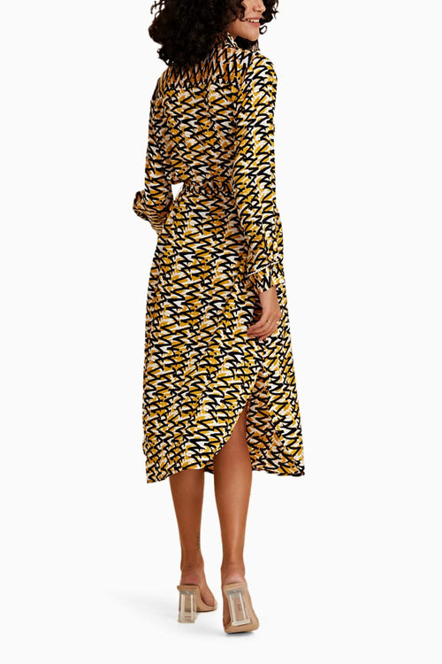 Zebra Zest Dress