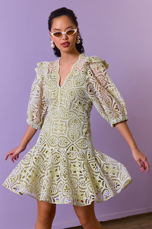 Pistachio Green Lace Elegance Dress