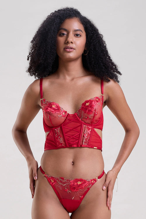 Rose Red Embroidered Longline Bra and Thong Set