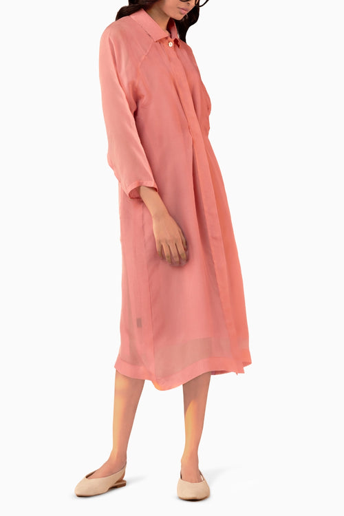 Rose Sheer Dress