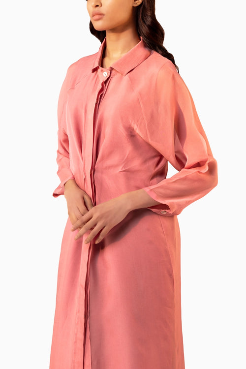 Rose Sheer Dress