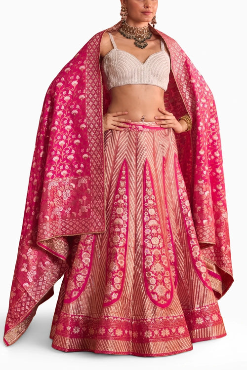 Rani Pink Banarasi Begum Ghaghra And Chunni