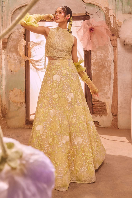 Fringe Drape Top with 8 Panel Lehenga