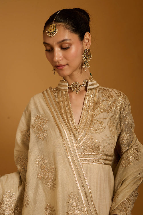 Trifecta Beige Applique Anarkali