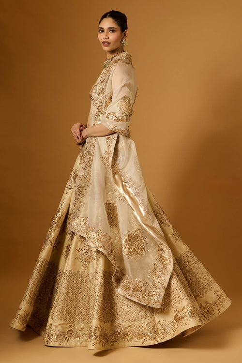 Trifecta Beige Sequin Lehenga