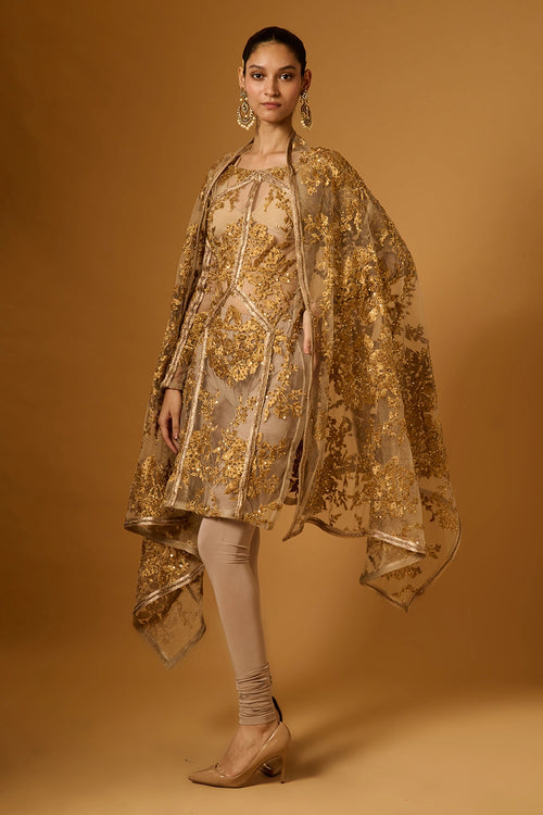 Trifecta Sheer Zari Suit