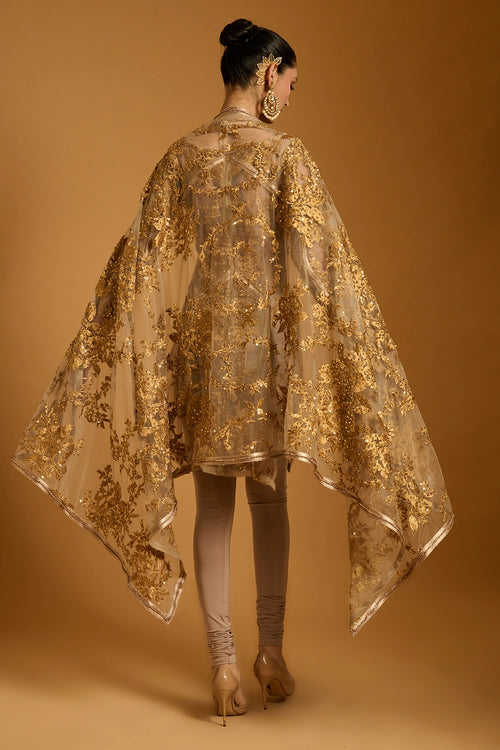 Trifecta Sheer Zari Suit