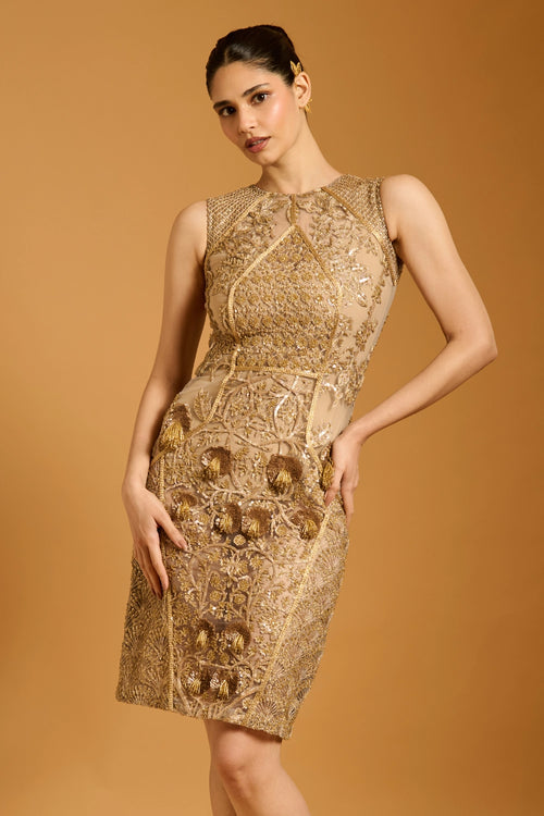 Trifecta Gold Paneled Sheer Dress