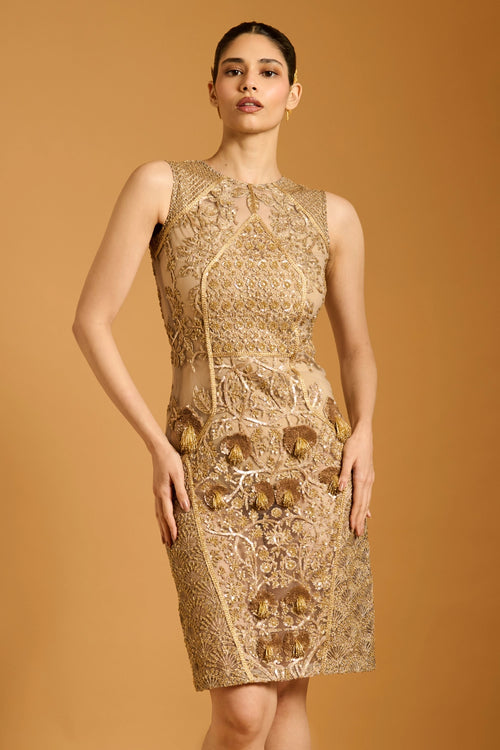 Trifecta Gold Paneled Sheer Dress