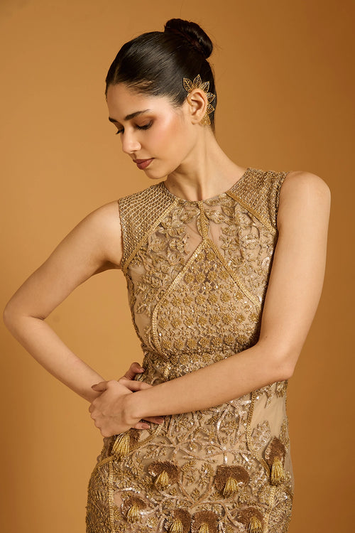Trifecta Gold Paneled Sheer Dress