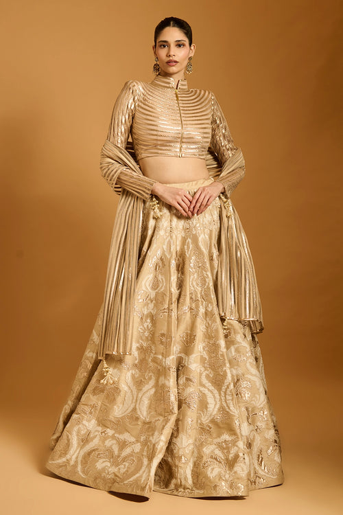 Trifecta Beige Applique Lehenga