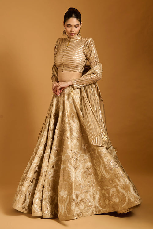 Trifecta Beige Applique Lehenga