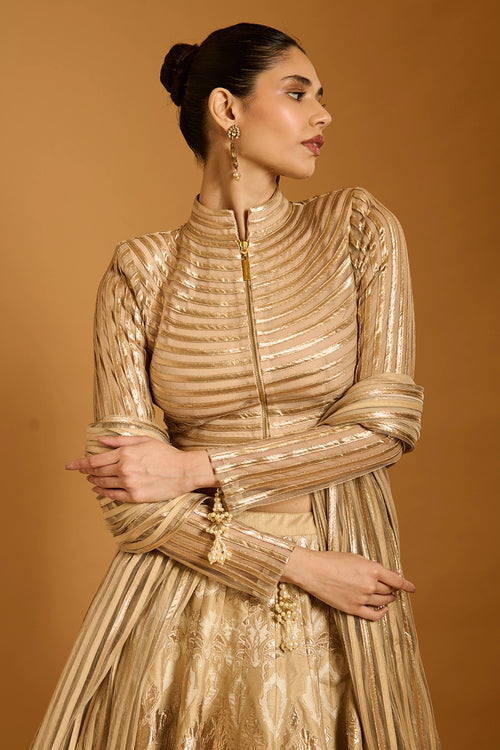 Trifecta Beige Applique Lehenga