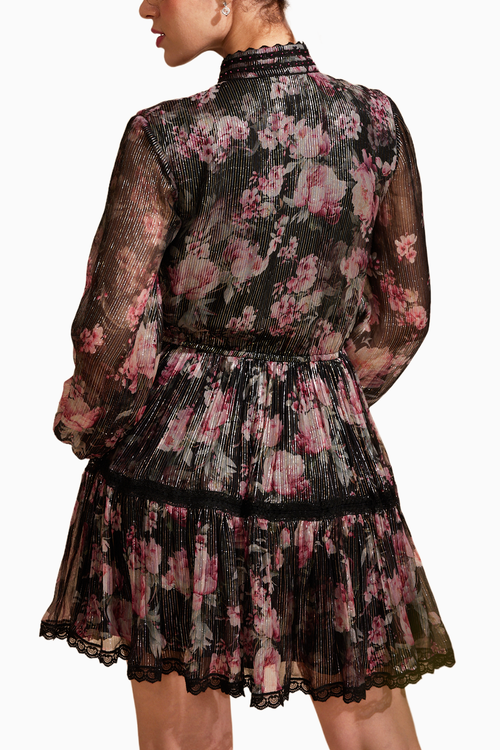 Midnight Rose Printed Short Dress