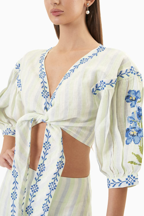 Green Blue Chicory Set