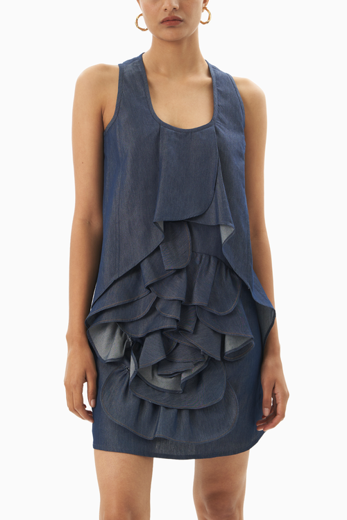 Rose Denim Dress