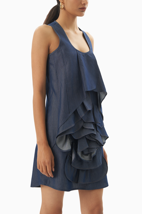 Rose Denim Dress