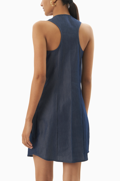 Rose Denim Dress